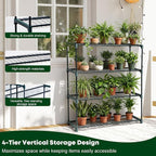 Panana 4 Tier Garden Greenhouse Steel Staging Shelving Plant Stand Garden - Image 4
